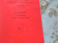 Hengst, Orlov Trotter — Foto 3