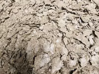 Сафлоровой жмых ( таза элеватордон откон сафлордон чыккан жмых) — сүрөт 1