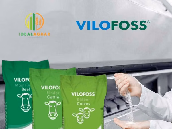 VILOFOSS mineral ozuqalari, Premiks