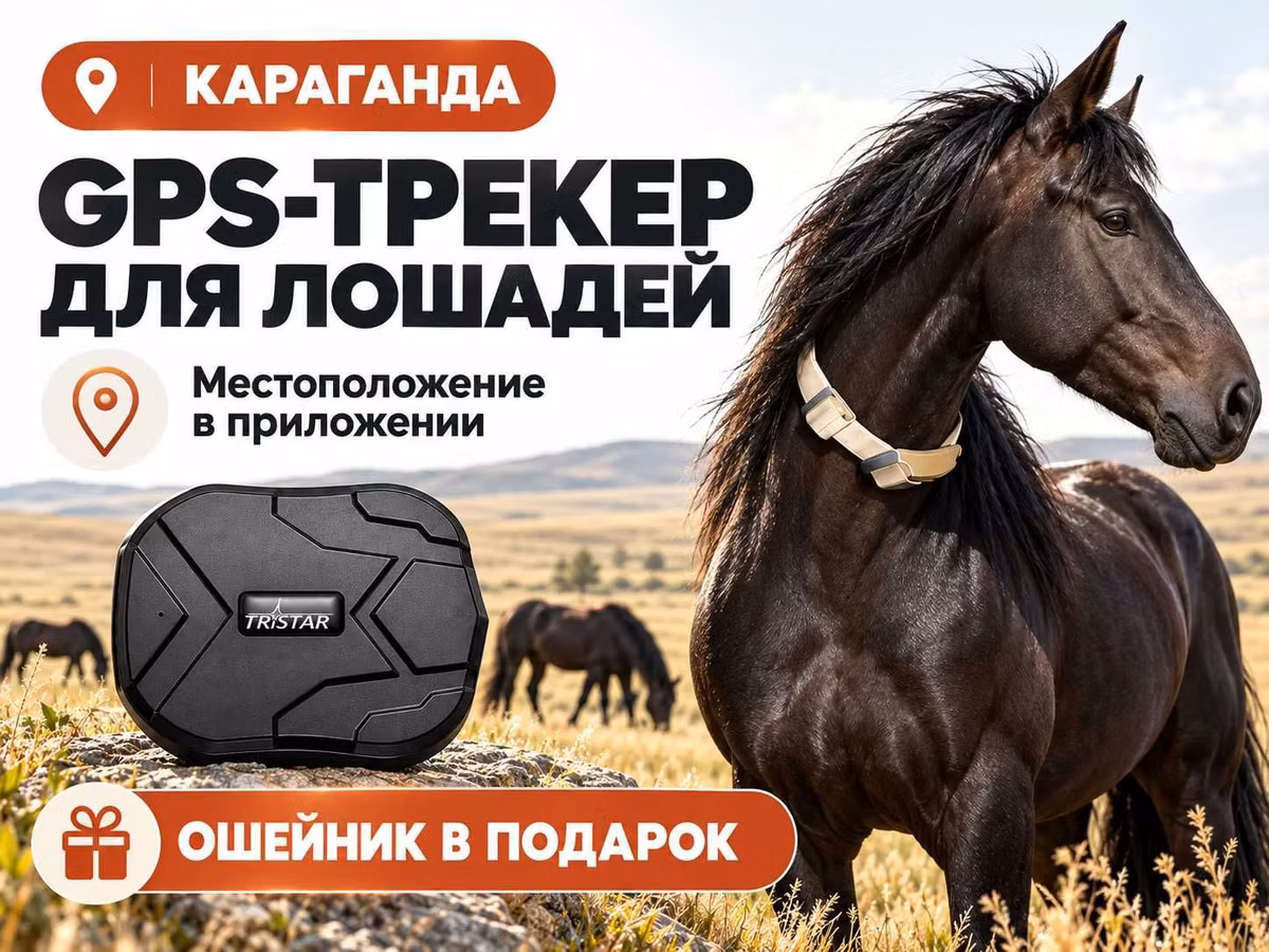 GPS трекер для лошадей. Жпс жылқыға