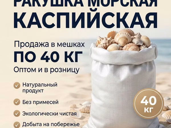 Ракушка кормовая каспийская