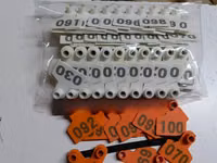 Numbered Eartags — 2-rasm