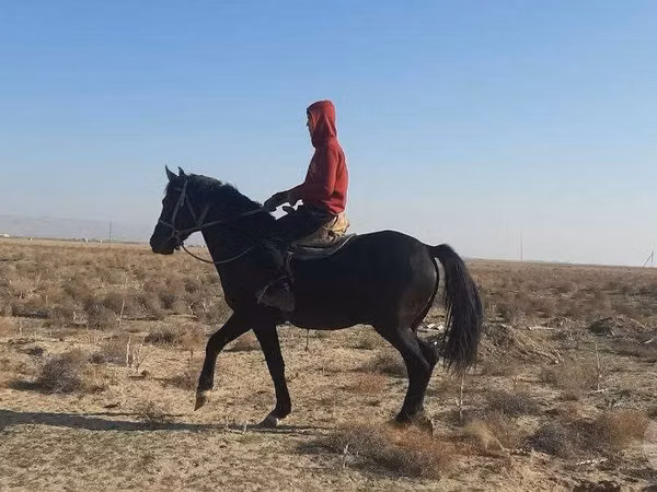 Ат, Аттар — Өзбекстан