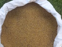 5 illik yoncadan saxlanılmış toxum vimden keçib .Beyləqandadi — сүрөт 2