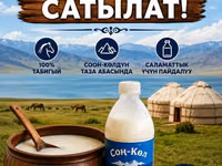 Кымыз, саамал, В розницу, Бесплатная доставка — Foto 1