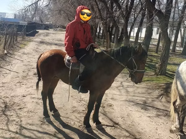 Ат, Аттар — Казакстан