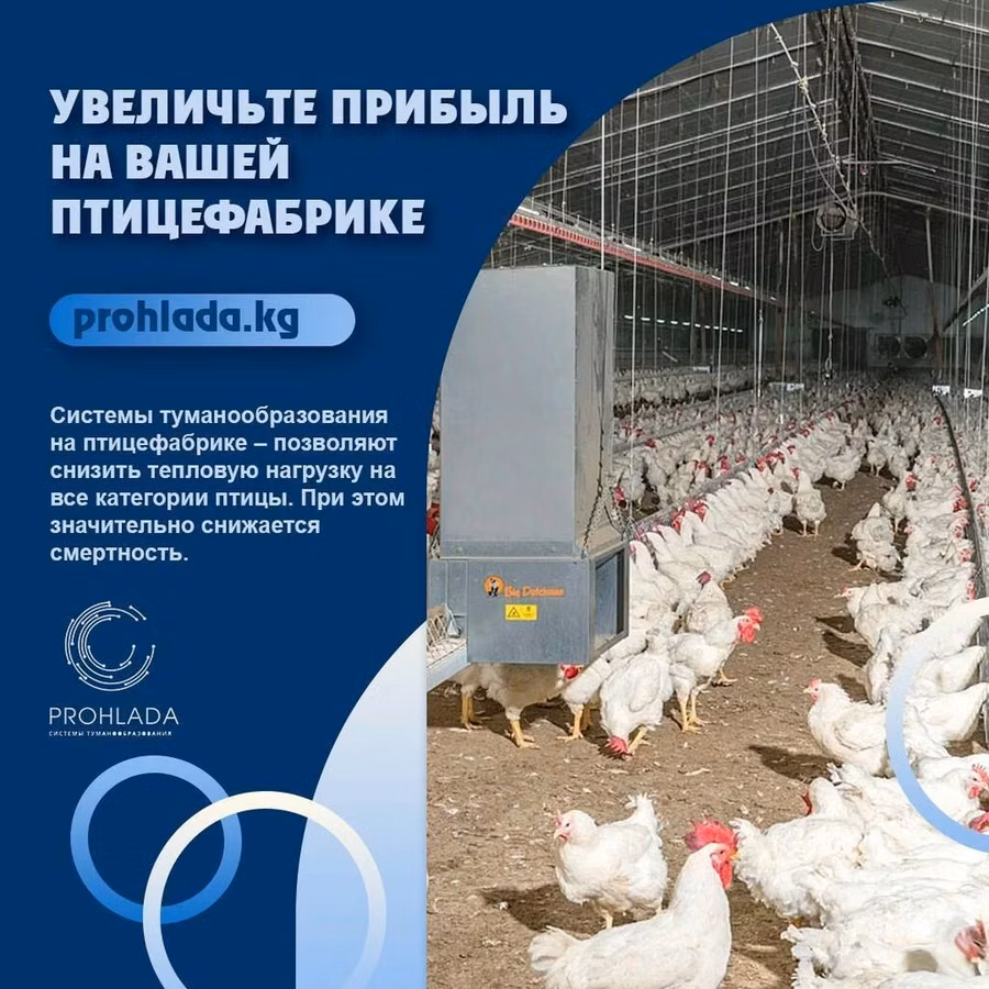 🌟 Преобразите вашу птицефабрику с системой туманообразования! 🌟 🔧