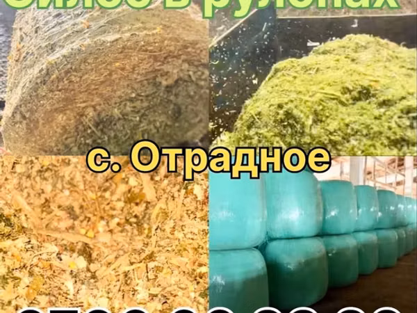 Ыссык-Көл Чуй, Каракол Ак-суу ПРОДАЁТСЯ СИЛОС В РУЛОНАХ! 🌾 Сочный