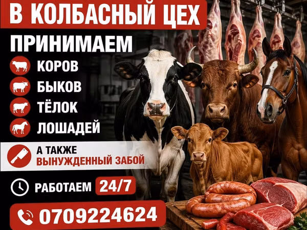 Туша, Самовывоз