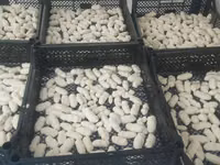 Натуральные молочные продукты сузма творог каймак айран домашний козье — Foto 2
