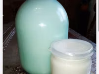 КУПЛЮ ДОМАШНЕЕ МОЛОКО, ТВОРОГ, АЙРАН, СЫР, ЯЙЦА только натуральная — 2-сурет