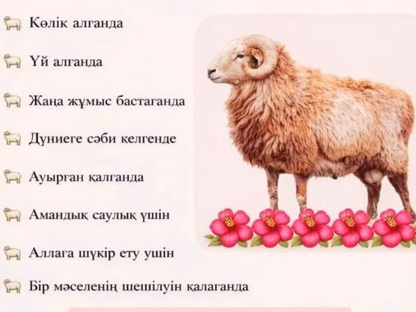 Кочкор, Койлор