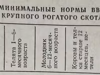 Гороховая мучка Чечевичная мучка Гороховые отруби Чечевичные отруби — 2-rasm