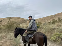 Hengst, Azerbaijan horse — Foto 1
