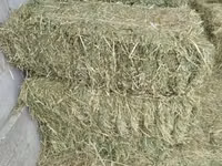 Сено в тюках (прямоугольные кипы) - Натуральная травяная заготовка — сүрөт 1