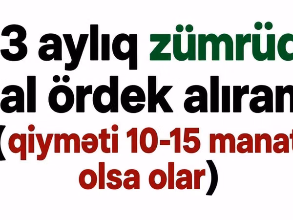 Утки