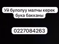 Уй булолуу малчы керек Бука бакканы бут условиясы менен ыссык суу — сүрөт 2
