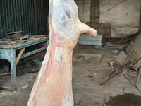 ХАЛАЛ ХАЛАЛ ХАЛАЛ Тушка баранины (целиком,) Правлю барашка туша мясом — الصورة 4