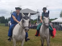 Stute, Lipizzaner — Foto 4