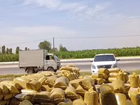 Silos sotiladi — 20 kg 15 000 so‘m, Xatirchi — 照片 4
