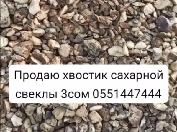 Хвостики сахарной свёклы доставка есть (резка/отсев после