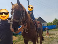 Ат, Казак аты — сүрөт 1