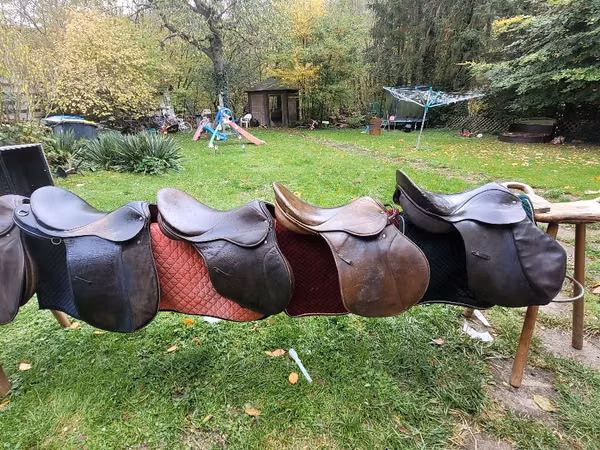 Кобыла, Лошади