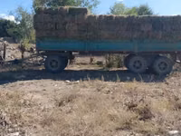 Сено в тюках (прямоугольные кипы) - Заготовлено на луговых угодьях; - — сүрөт 1