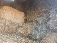 Vând nutreț pentru animale . — 1-rasm