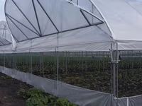 Vindem constructie module de sera solar cu pereti drepti — Foto 1