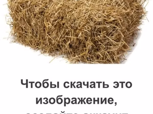 Солома в тюках - Прессованная прямоугольными тюками - Подходит для