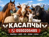Услуги мясника/касатчы для забоя и разделки скота на выезде. Работаем — 照片 2