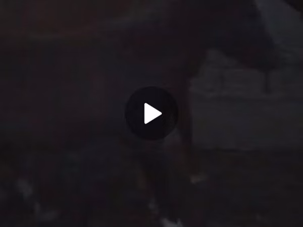 فرس, الخيول — قيرغيزستان