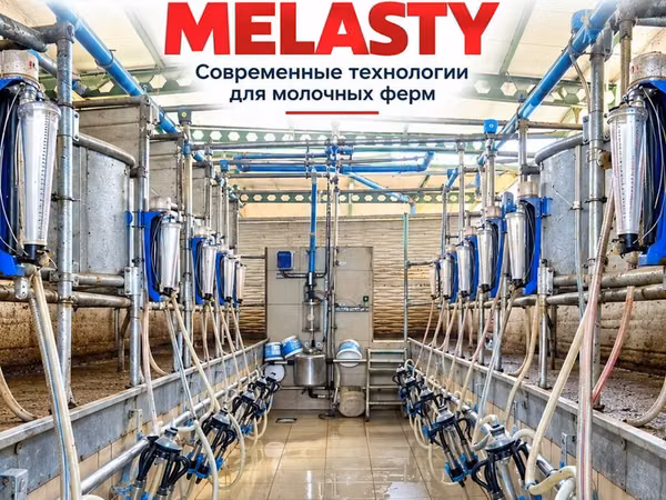 Доильный зал Melasty профессиональная система для молочных ферм ПОД