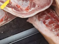 СВИНИНА ОПТОМ В ПОЛУТУШАХ - Прямая поставка свежей продукции. - — الصورة 6