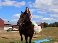 Caballo, Percheron — foto 6