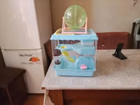Akvarium balıqları ilə barter olunur.Uzunluğu 27,Eni 28, Hündürlüyü — foto 2