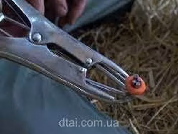 Щипцы для кастрации Эмаскулятор