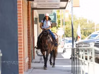 Mare, Quarter Horse — photo 3