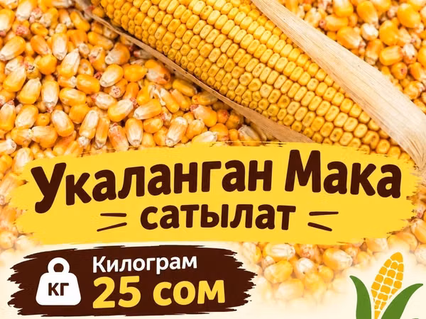 Дроблёная кукуруза - Продукт: дроблёная кукуруза (сырая фуражная