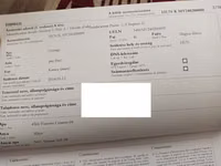Stute, Pferde — Foto 4