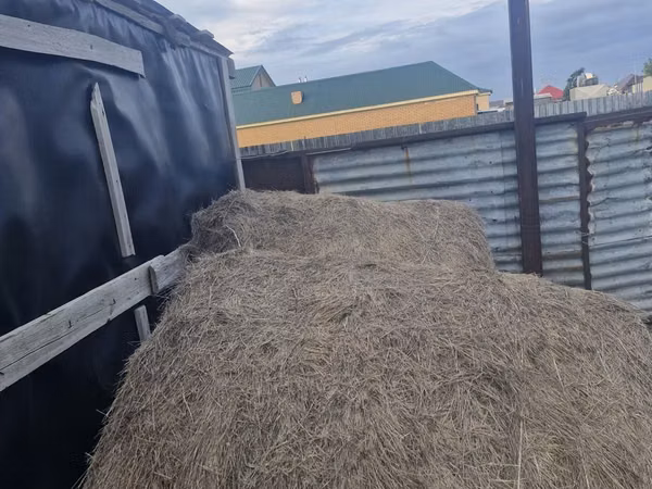 5мынан рулон срочна