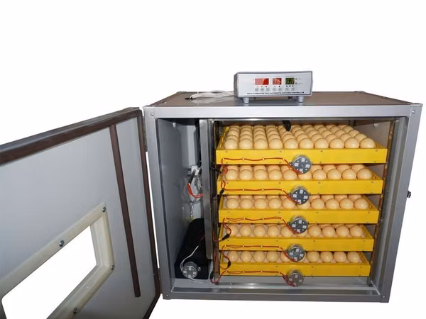 Инкубаторы на 528 яйц- от 40000 сом, 1056 яйц от 50000 сом, 1232 яйц