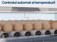 Incubator MS-70 — 3-rasm