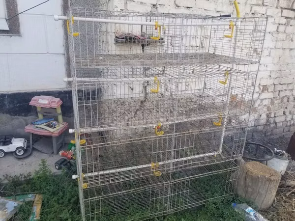 Продаю клетку для кур бройлеров оборудованный.подносы для помёта