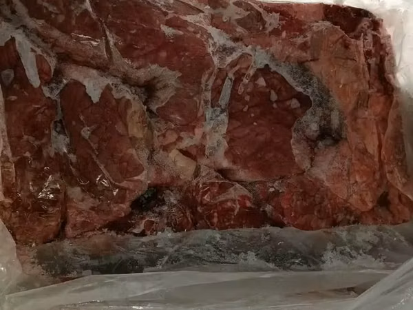 Легкое гов беларусь