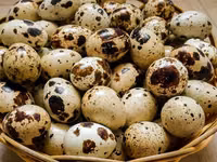 Premix pentru prepelițe ouătoare cu stimulator natural — Foto 1