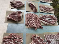 公羊, Sheep — 照片 4
