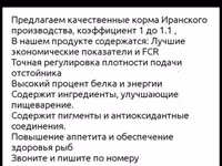 Корм для рыбы Yadish (Иран) Качественный плавающий корм иранского — Foto 3