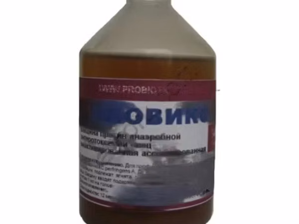 КЛОВИКС для профилактики анаэробной энтеротоксемии овец